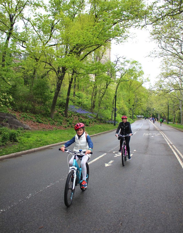 central park bicycle hire